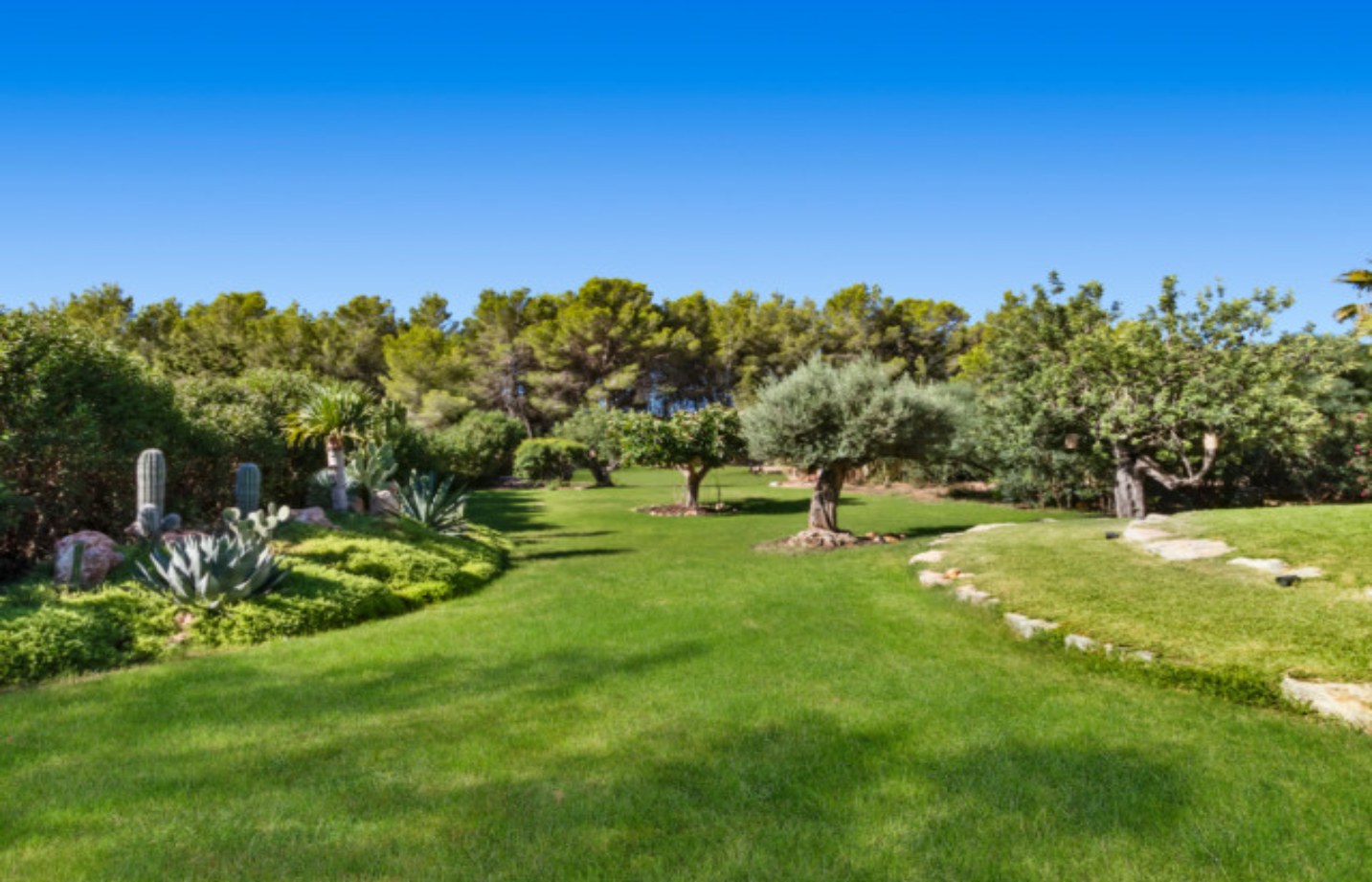 Gardens and olive trees at the villa