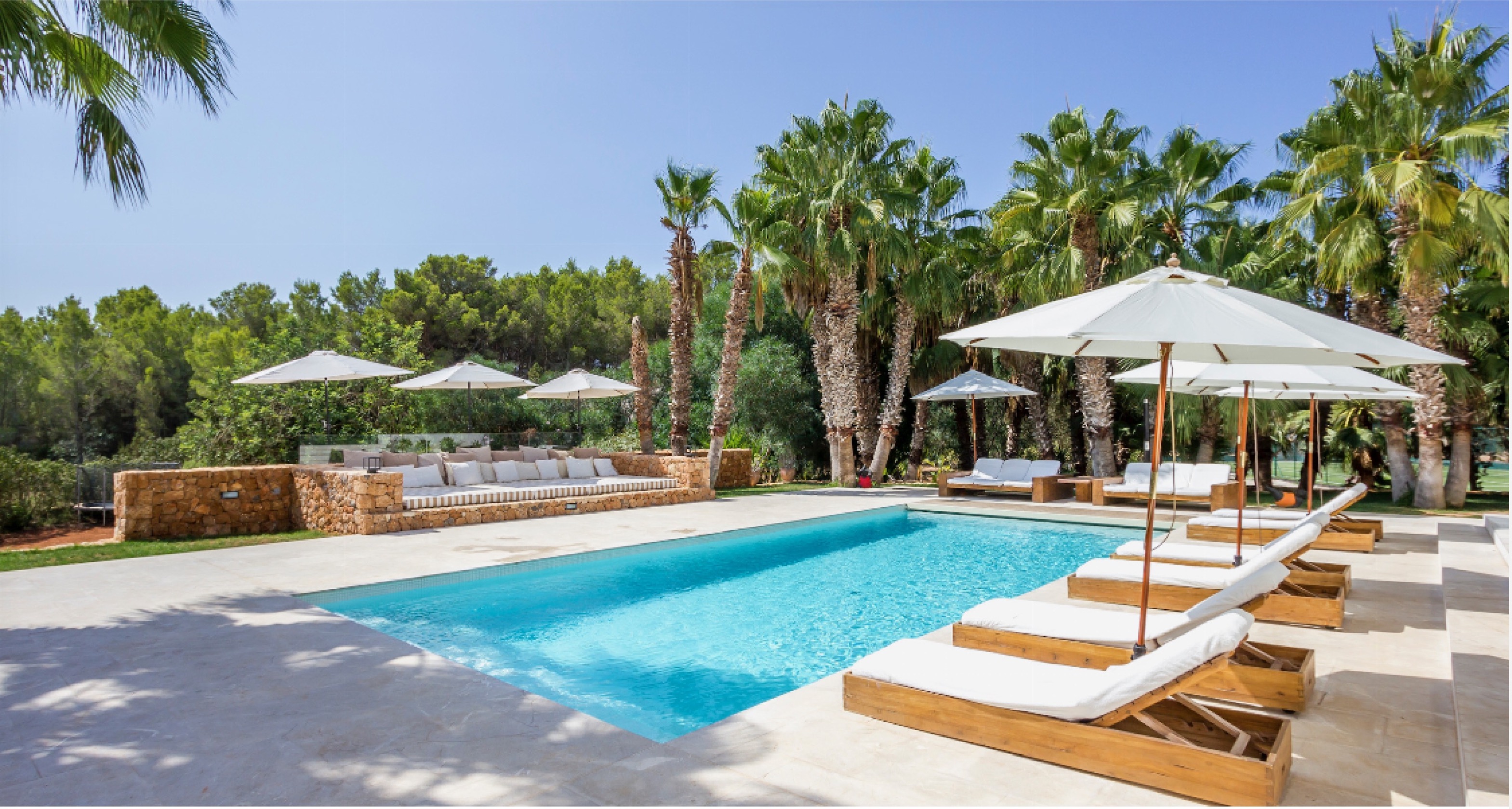 Pool with sun loungers and palms